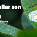 En tête Bien équiper son terrarium