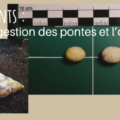 En tête La gestion des pontes et l'oeuf