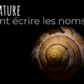 En tête article nomenclature zoologique des Achatinidae
