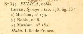 Publication originale de Lissachatina fulica par Férussac