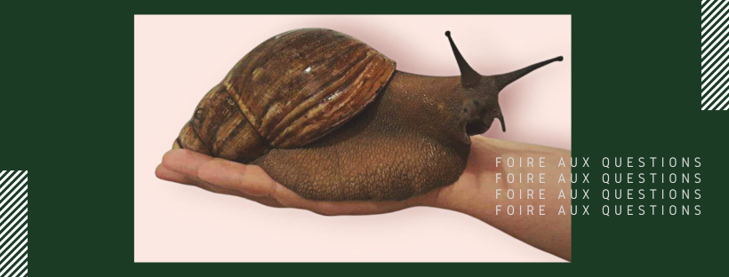 En-tête Foire aux Questions sur les Escargots géants d'Afrique