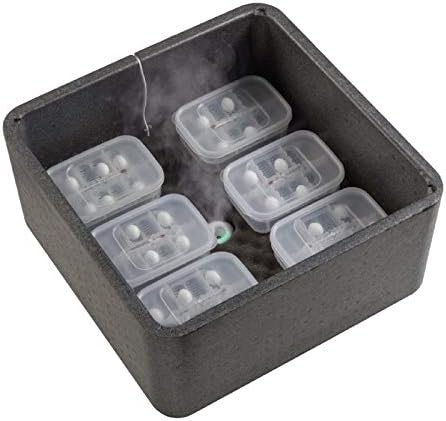 Incubateur de la marque Exo Terra avec contrôle de la température et de l'humidité.