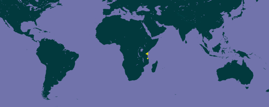 Carte de la répartition géographique de l'espèce L. reticulata selon la base de donnée GBIF