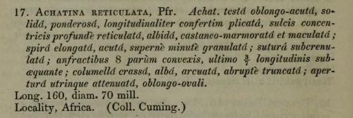 Publication de la description originale de Lissachatina reticulata par Pfeiffer en 1845