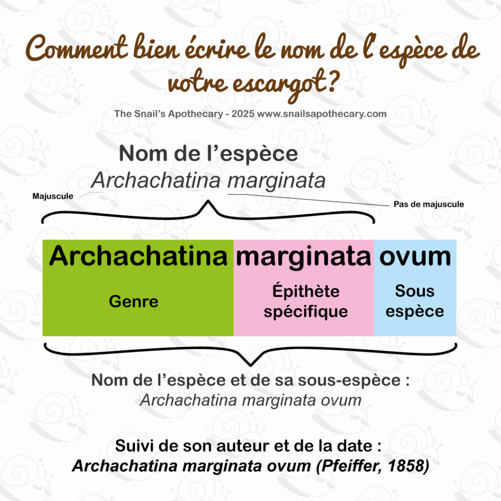 Résumé de l'article de manière visuelle.